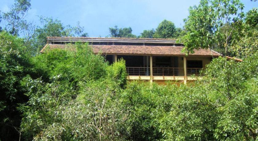 Forest Floor Lodge Каттьен Экстерьер фото